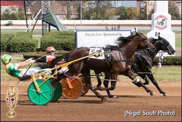 Trot N.A. Cup Spring Book: #5