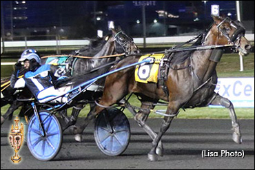 Trot N.A. Cup Spring Book: #6