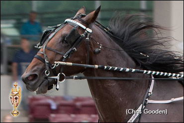 Trot N.A. Cup Spring Book: #9