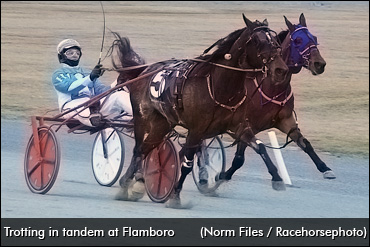 Preferreds Highlight Flamboro Opener