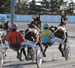Welcome Back Trotter: Class Of Maritime-Breds On The Rise