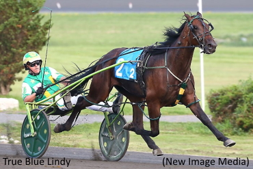 Dream Maker To True Blue Lindy