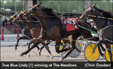 True Blue Lindy Triumphs In PASS