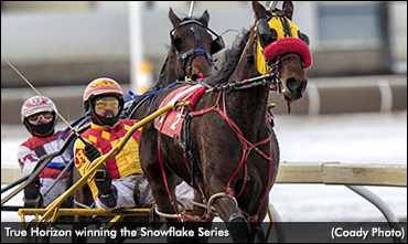 Like Father, Like Father