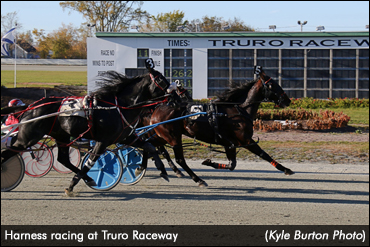 Stanfield And Sires Stakes At Truro