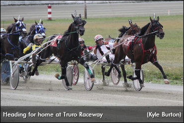 Horses To Return To Nova Scotia Tracks 