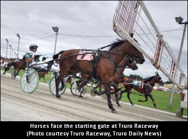 Fillies Kick Off Sires Stakes Action