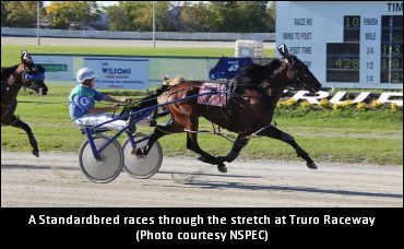 Truro Qualifier Details