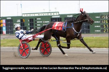 Bombardier Pace To Tuggingoncredit