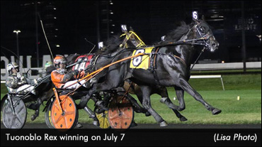 'T-Rex' Romps In Big M Preferred