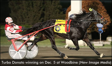 Turbo Donato Continues Streak