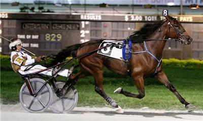 Nine Straight For Tweedle Dum