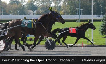 Tweet Me Wins Matinee Open