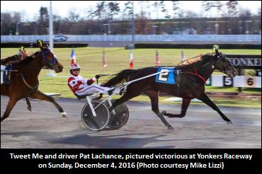 Open Handicap Trot To Tweet Me