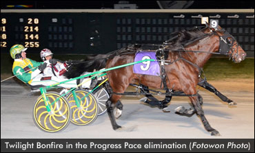 Twilight Bonfire Takes Reynolds Stake