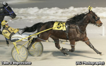 Preferred Winner Ultra 'Impressive'