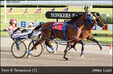 Grand Slam For Twin B Tenacious