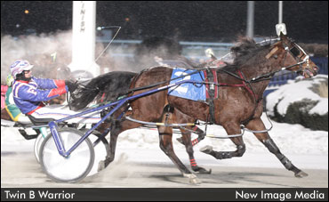 Twin B Warrior Wonderful In Willowdale