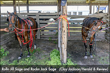 Twin Horses Make On-Track Debut