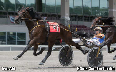 Rookies Impress In Stallion Series
