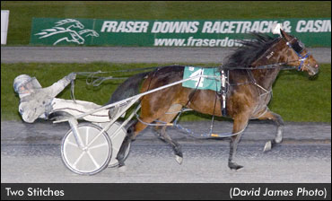 Marino Doubles On B.C. Breeders Classic Day