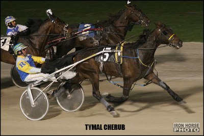 Tymal Cherub Goes Back-To-Back 