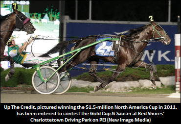 Fields Set For Gold Cup & Saucer Trials