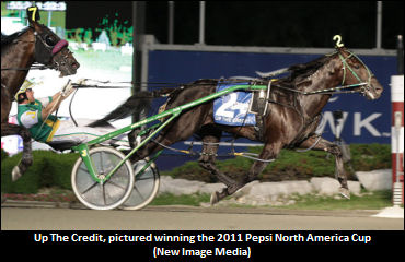 Up The Credit To Casimir Farm