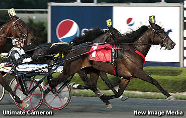 Stewart High On Ultimate Cameron