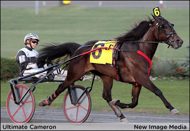 Home Turf Advantage For Ultimate Cameron