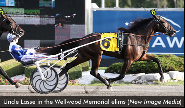 Field Set For Wellwood Memorial