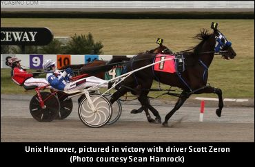 Go Golfing, Add New Racehorse