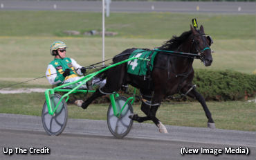 Up The Credit Cruises 