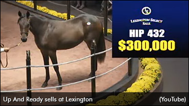 Up And Ready Tops Third Session