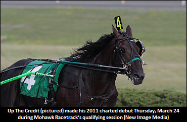 Jamieson: 'Up The Credit Is Faster Than Santanna Blue Chip'