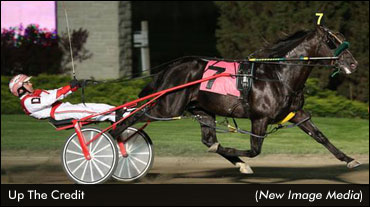 Up The Credit Equals Canada's Fastest Mile