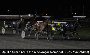 Up The Credit Wins MacGregor Memorial