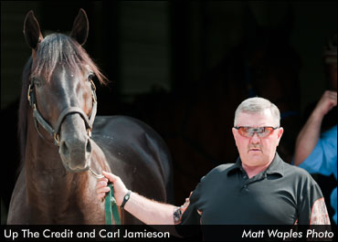 Matron Could Be 'Credit's Last Hurrah