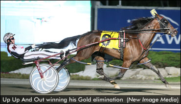 Up Up And Out Scores Gold Victory