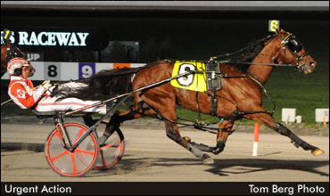 Urgent Action Sweeps Sagamore Hill; Levy Continues