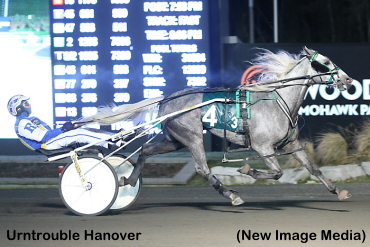 Roy Sweeps Harvest Finals