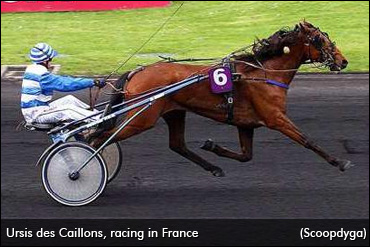 French Trotter Wows Connections