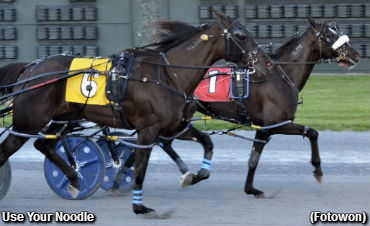 ‘Noodle’ Prevails By A Nose