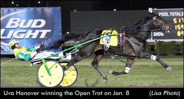 Uva Hanover Best In Open Trot