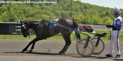 Valcyon Days Takes A Bow