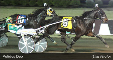 Validus Deo Fastest At New Meadowlands