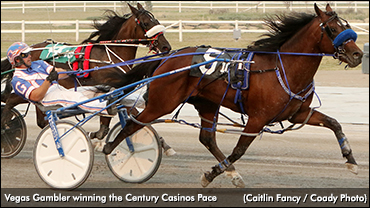 Vegas Gambler Victorious In Century Casinos