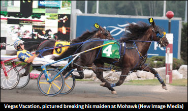 Stars Out For Shes A Great Lady, CPD, Metro Pace Elims