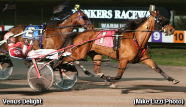 Matchmaker To 'Carol' & 'Venus'