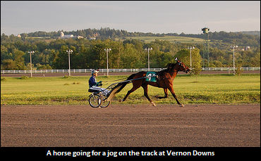 Relief For Vernon; Gural Comments